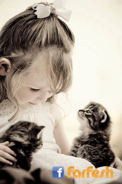 �������� ���� ����� �������� ��������� �������� 