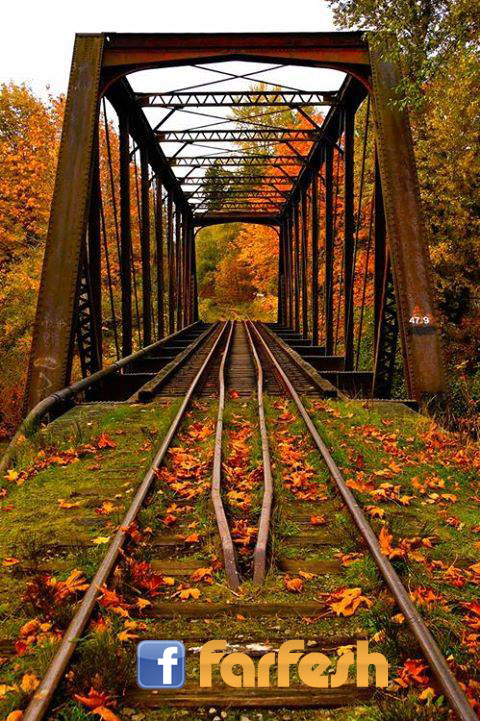 ��� ����� �������� �� �������