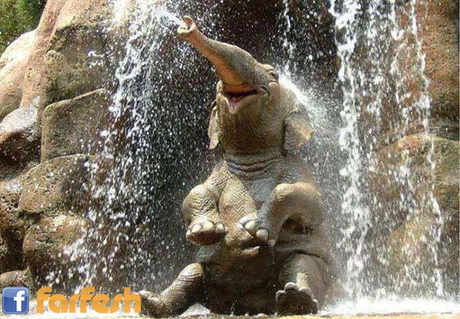 ������� ����� ����� ����