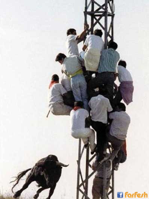 ���� ��� ������