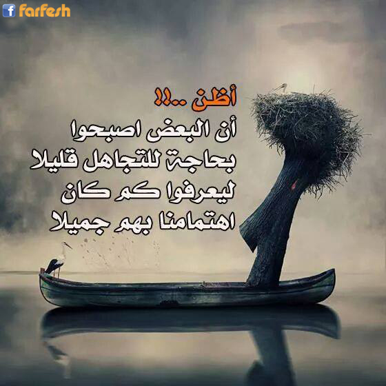 ����� ���� ������ ����