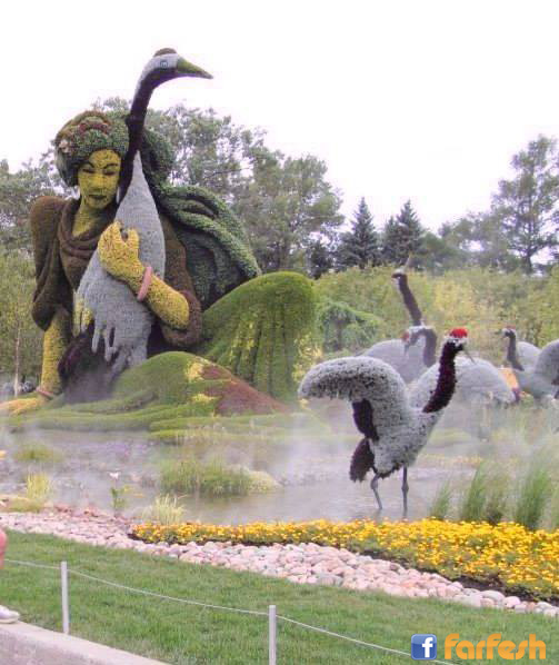 ���� �����