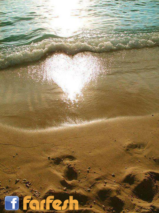 ���� ���� �������