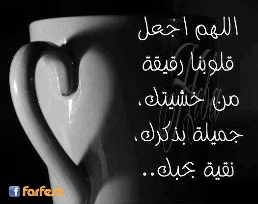 ����� ���� ������ ���� ����