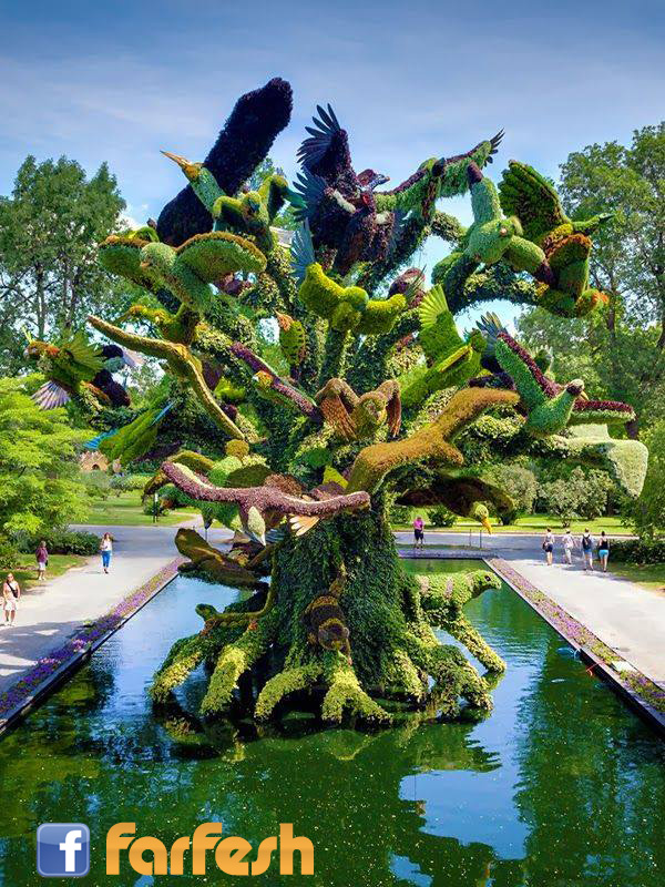 ���� ������ �� ��� ������