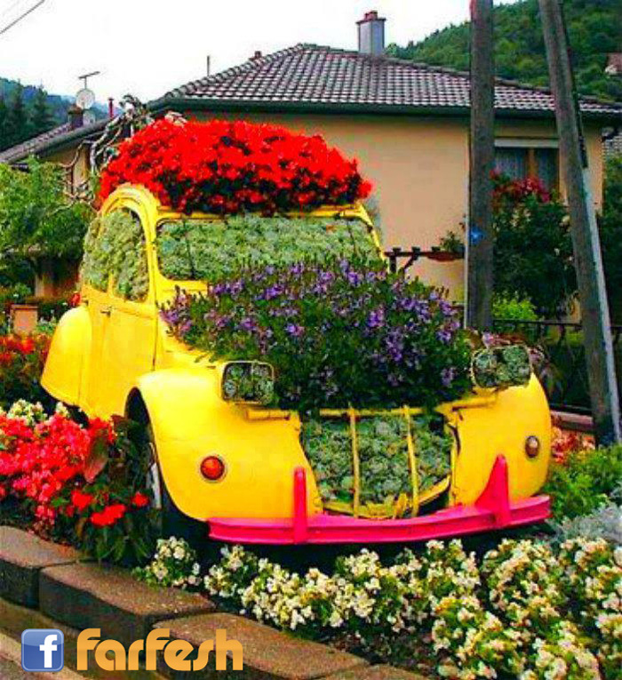 ������� ���� ������� �������� ����� ������