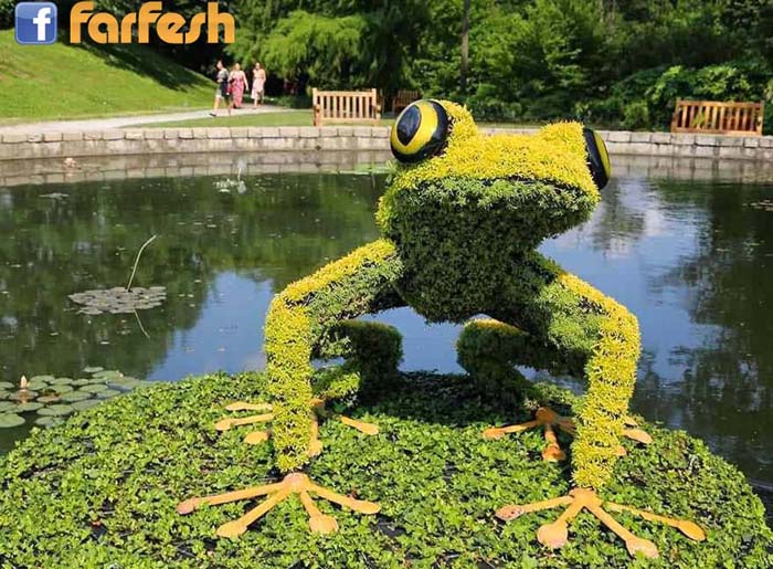 ����� ���� ���� �� ���� ��������