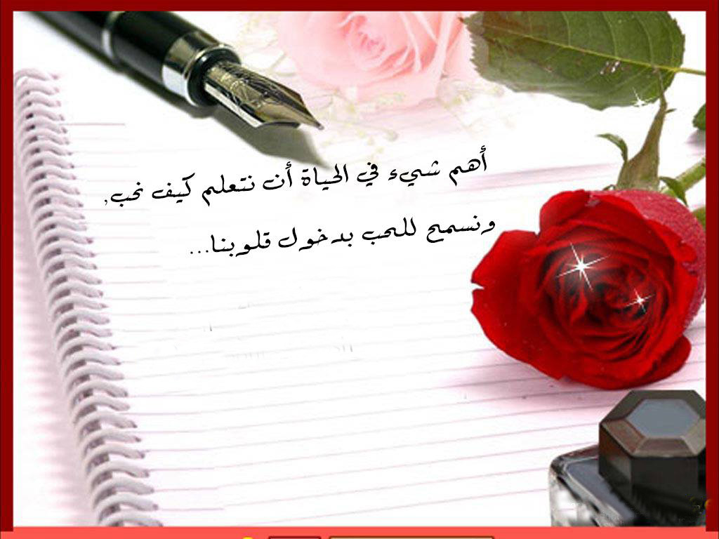 ���� �� ���� �� ����