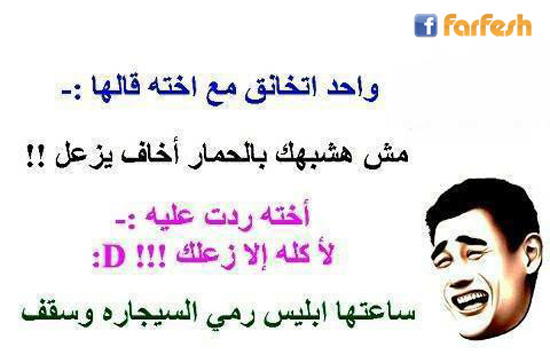 ���� ����� �� ������