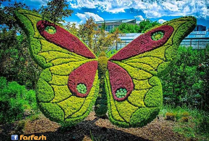 ������� ������ ������ �� ������