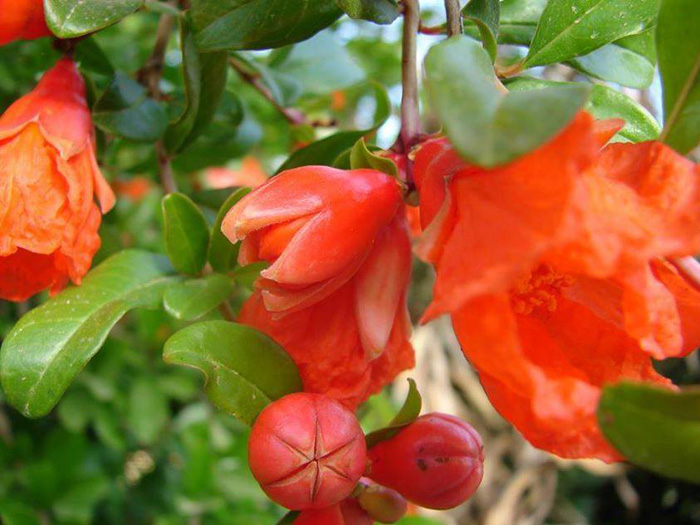 �� ������ �� ���� ..��� ������