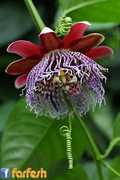 ���� ����������