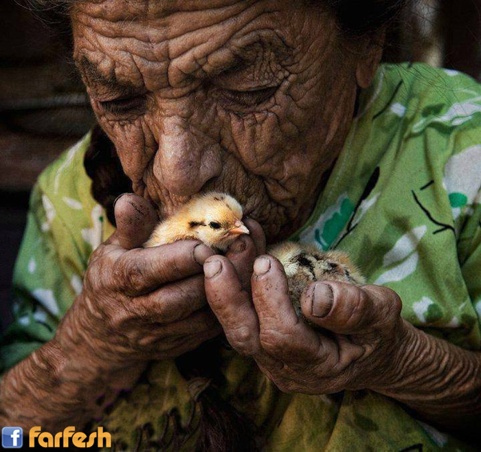 ��� ���� ���� ��������� � ������ 