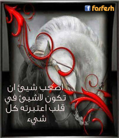 ��� ����� ����� ���