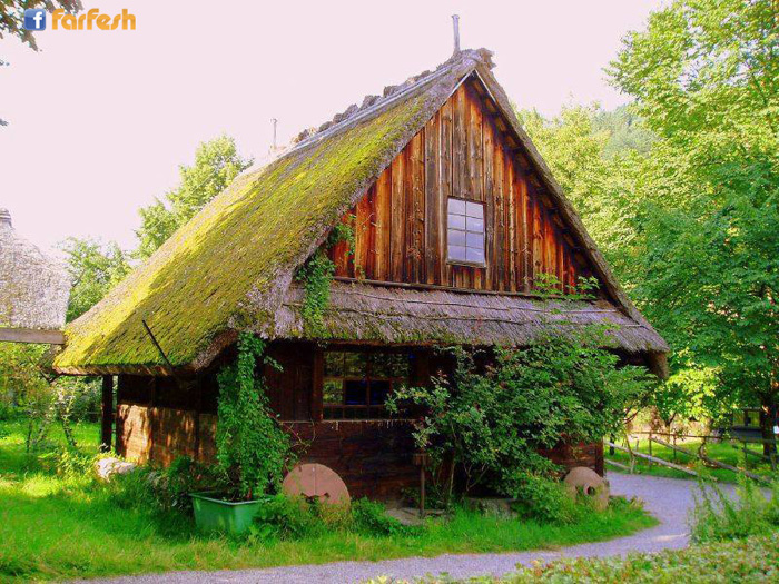 ���� ���� �� �������� ���������� .