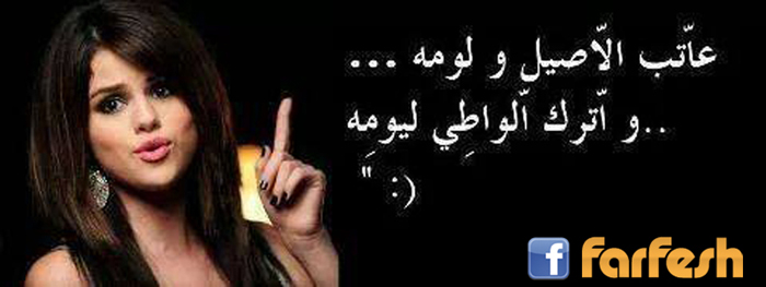 ���� ������ �����  ....