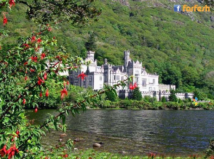 ���� ���� ��� ���� �����