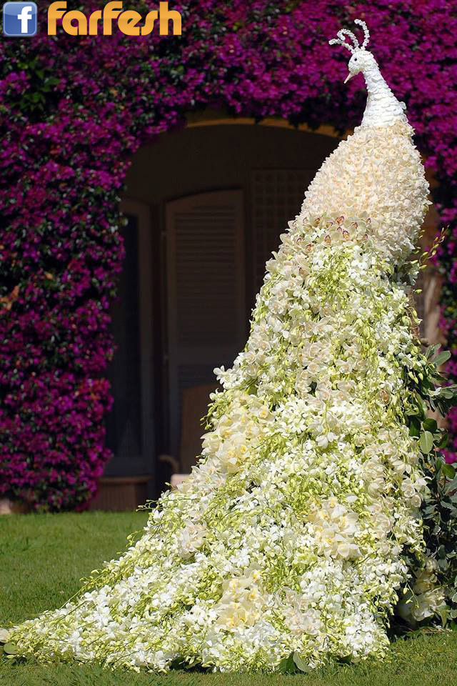 ���� ���