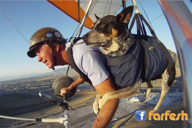 ���� �� ����� �����