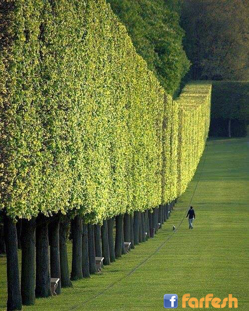 ������� �� �����