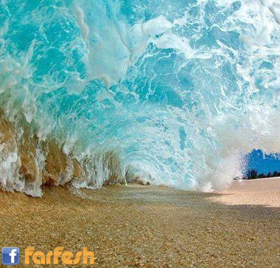 ���� ����� ����� �� ������