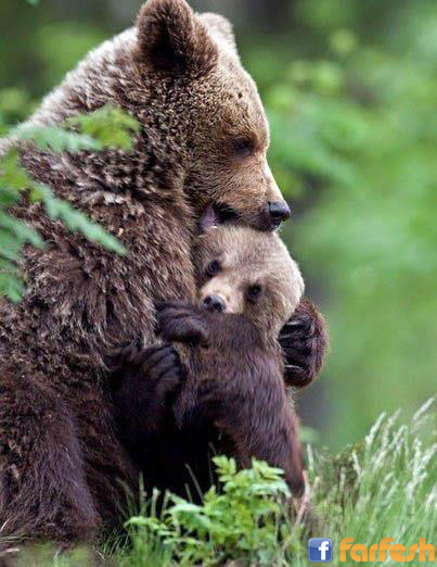 ���� ���� �� �����