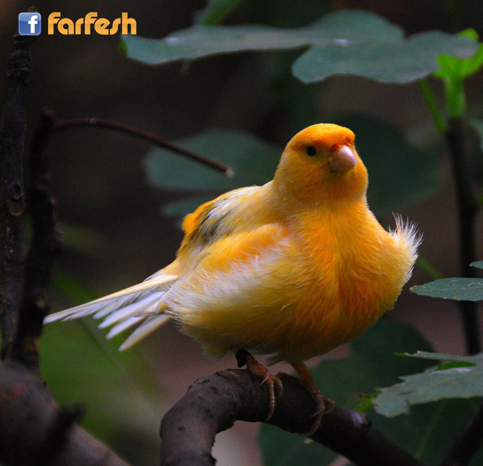 ���� ���� ������� ������