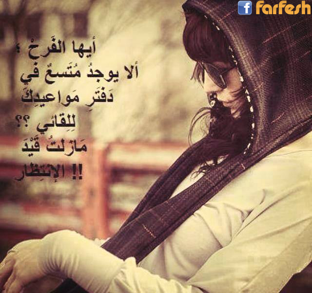 ���� ������ �����