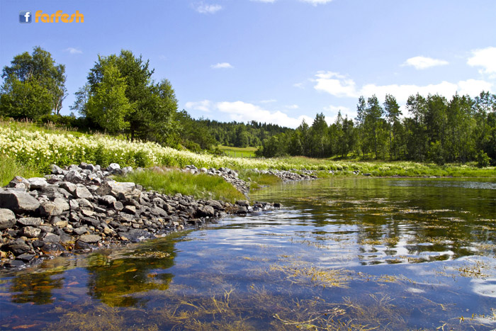 ��� ������� ������