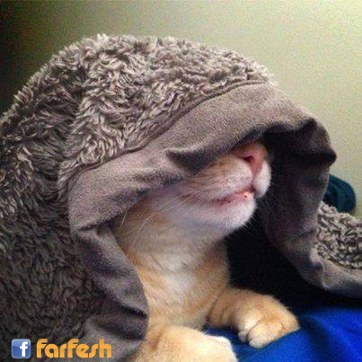 ������ ���� �� ���� :-)