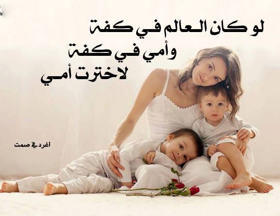 ��� ������ ���� .. ������ ������ ���