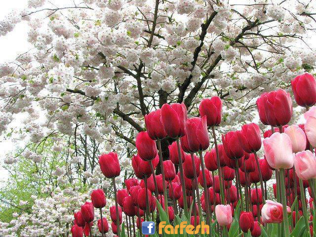 �� ���� ������