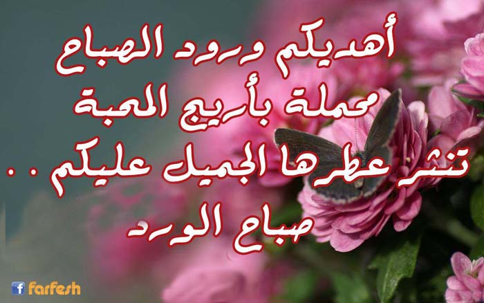 ���� �����