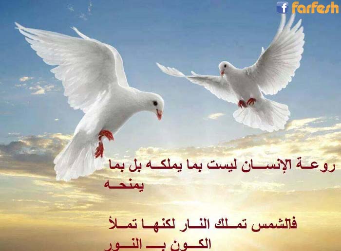 ����� ���� ����� ����� ���� ����� ������