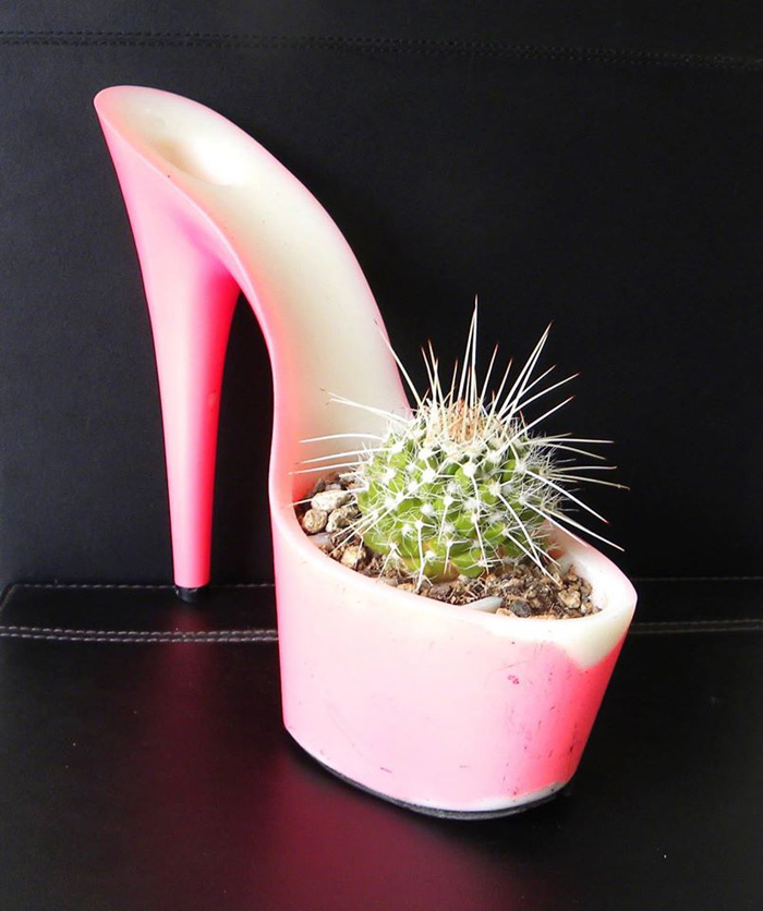 ���� ������� ���� �������