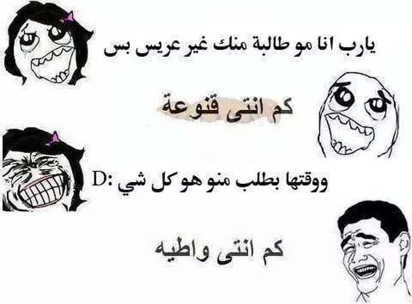 ���� ��� �� ���