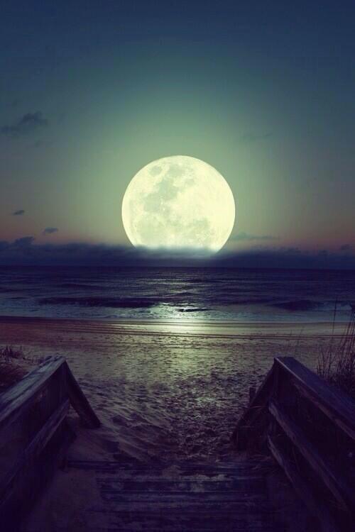 ����� ����� ��� ��