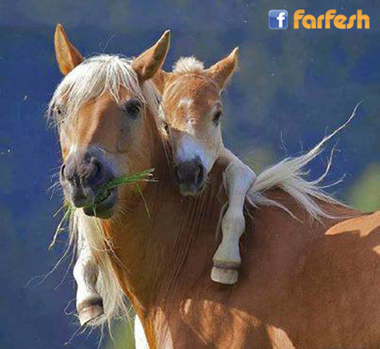 �� ���� ��������