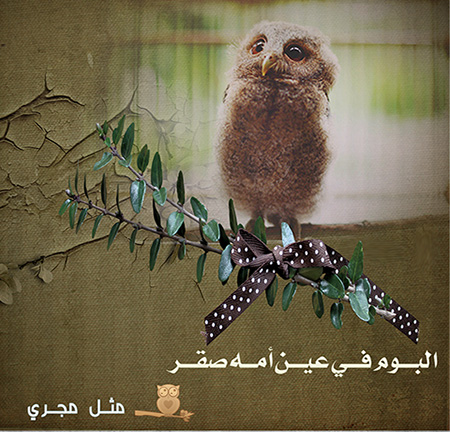 ��� ����