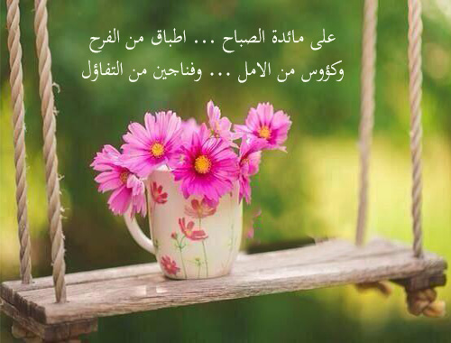 ���� �����