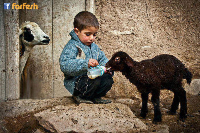 ����� �������