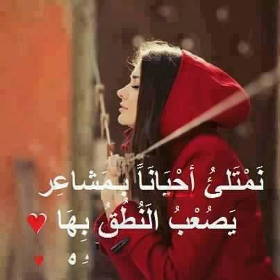 ����� ������ ������ ���� ����� ���