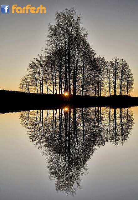 ��� ������� 