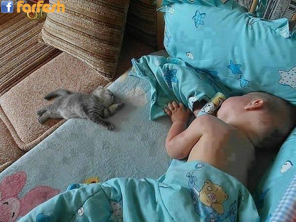 ��� �����