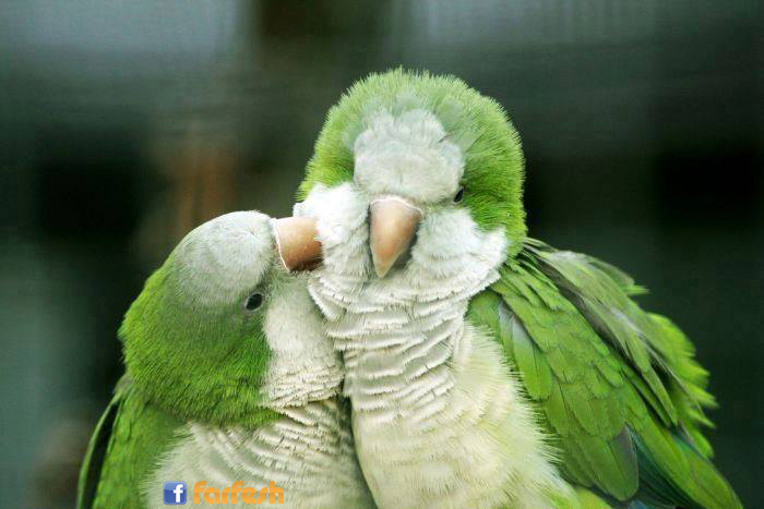 �� ������� :-)