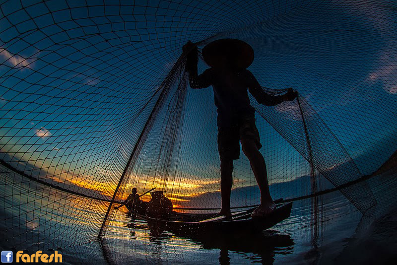 �������� �����������