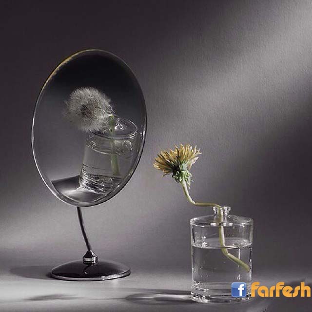 �� ���� ����� �� ��� �� ������ �������� �������