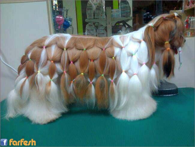 ���� ���