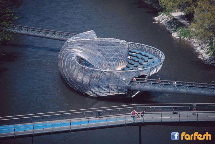 ���� ���� �� ������