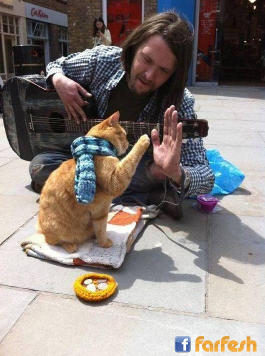 ��� ��� ������